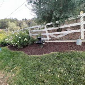 Vega’s Landscaping & Tree Service - Orange County, CA