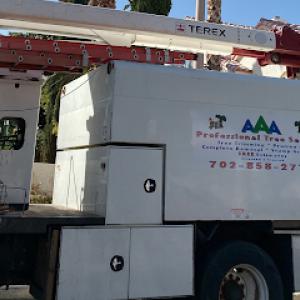 AAA Professional Tree Service