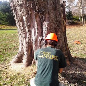 Forest Keepers Tree Care