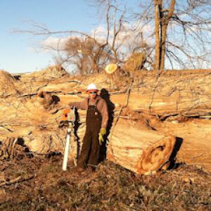 Proficient Tree Care