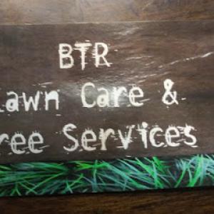 BTR tree & Handyman services