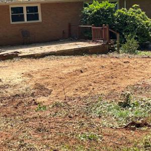 Clean scene stump grinding