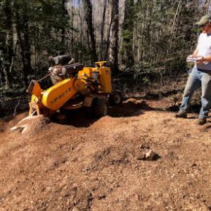 Anderson Stump Grinding