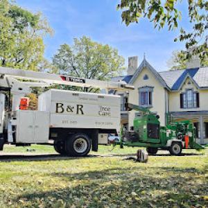B&R Tree Care