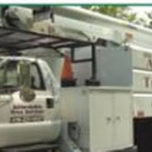 Affordable Tree Service