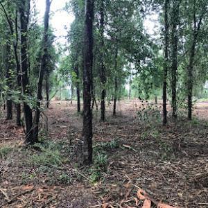 Chaples Tractor & Agricultural Service