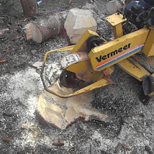 CTC Stump Grinding