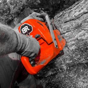 Blue River Forestry & Tree Care