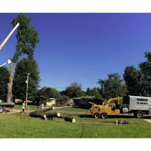 Samson Tree Service