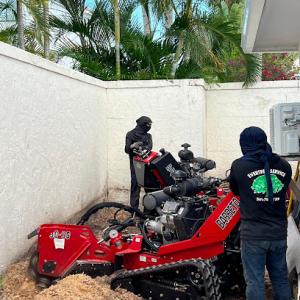 Ever Tree Service Palm Beach County