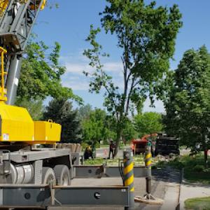 Timber Ridge Tree Service