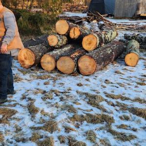 Eco-Works Tree Service