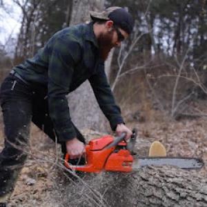 Shiver Me Timbers Tree Service