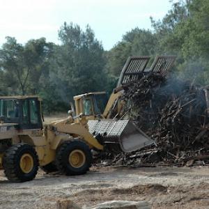 Lionudakis Orchard Removal