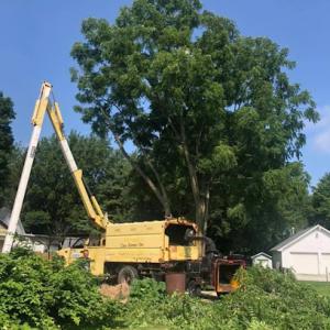 K&E Tree Service