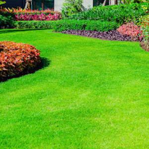 Skyfall Landscaping & Tree Removal Service