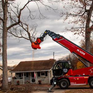 Patriot Tree Service