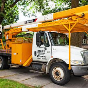 Carr's Tree Service