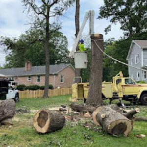 Oliver's Tree Service