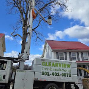 Clearview Tree Service