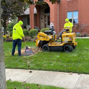 Coxs Tree & Lawn Care