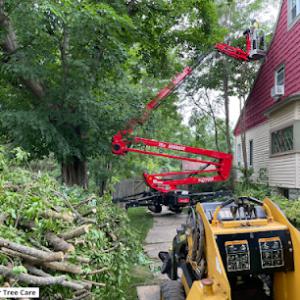 Stabile Arbor Tree Care