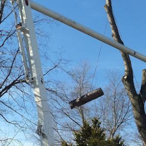 Alexander's Tree Service