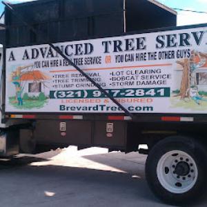 A Advanced Tree Service