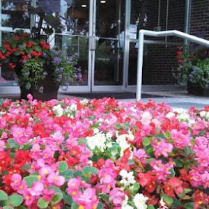 David J. Frank Landscape Contracting