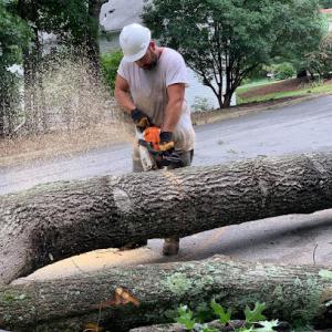Old Dominion Tree Company