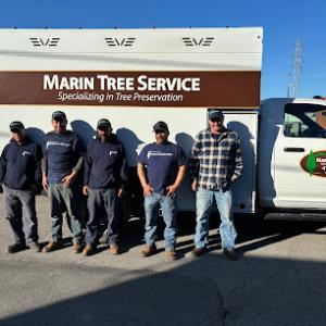 Marin Tree Service
