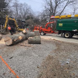 Resurrection Tree Service