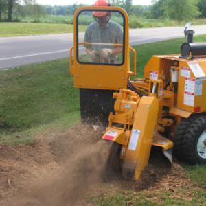 Whittier Tree Service Company