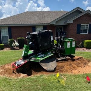 Patriot Stump & Land