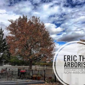 Eric’s Tree Service