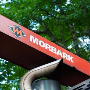 Vilchis Tree Services Pro