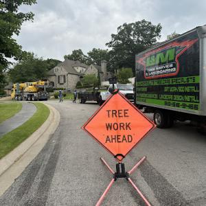 L&M Tree Service