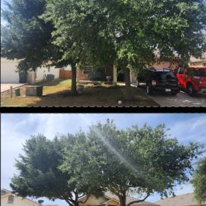 Rockin S Land Services