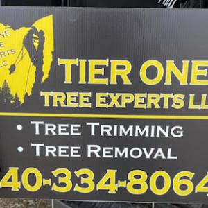 Tier One Tree Experts