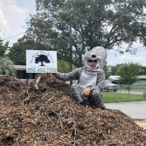 Tri State Tree Service
