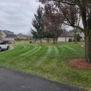 Foundations Property Management