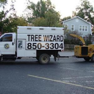 Tree Wizard