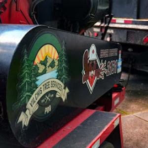 Vilchis Tree Services Pro