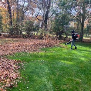 Tyler's Landscaping & Lawn Care