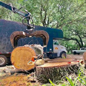 Xtreme Property Services