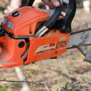 King James Tree Service