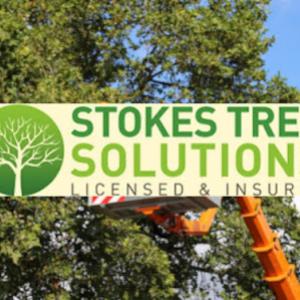 Stokes Tree Solutions