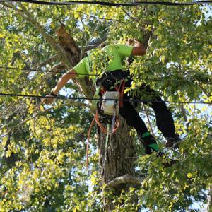 Southern Land Services