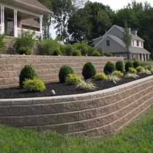 Benitez Tree & Landscaping