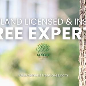Genesis Tree Care